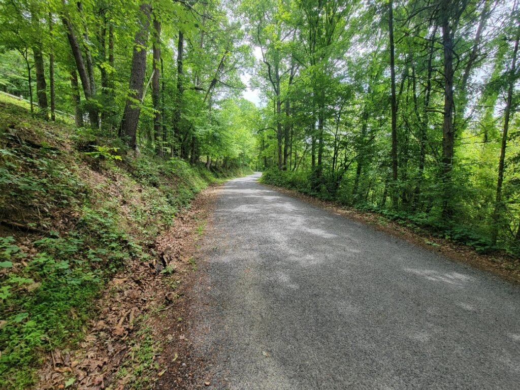 Gravel drive into the park