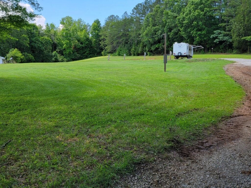 Gryptid RV Park trees