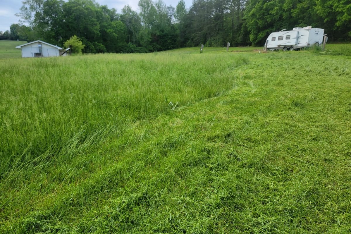 The property in April 2025, grass grown up tall with trees along the far edge