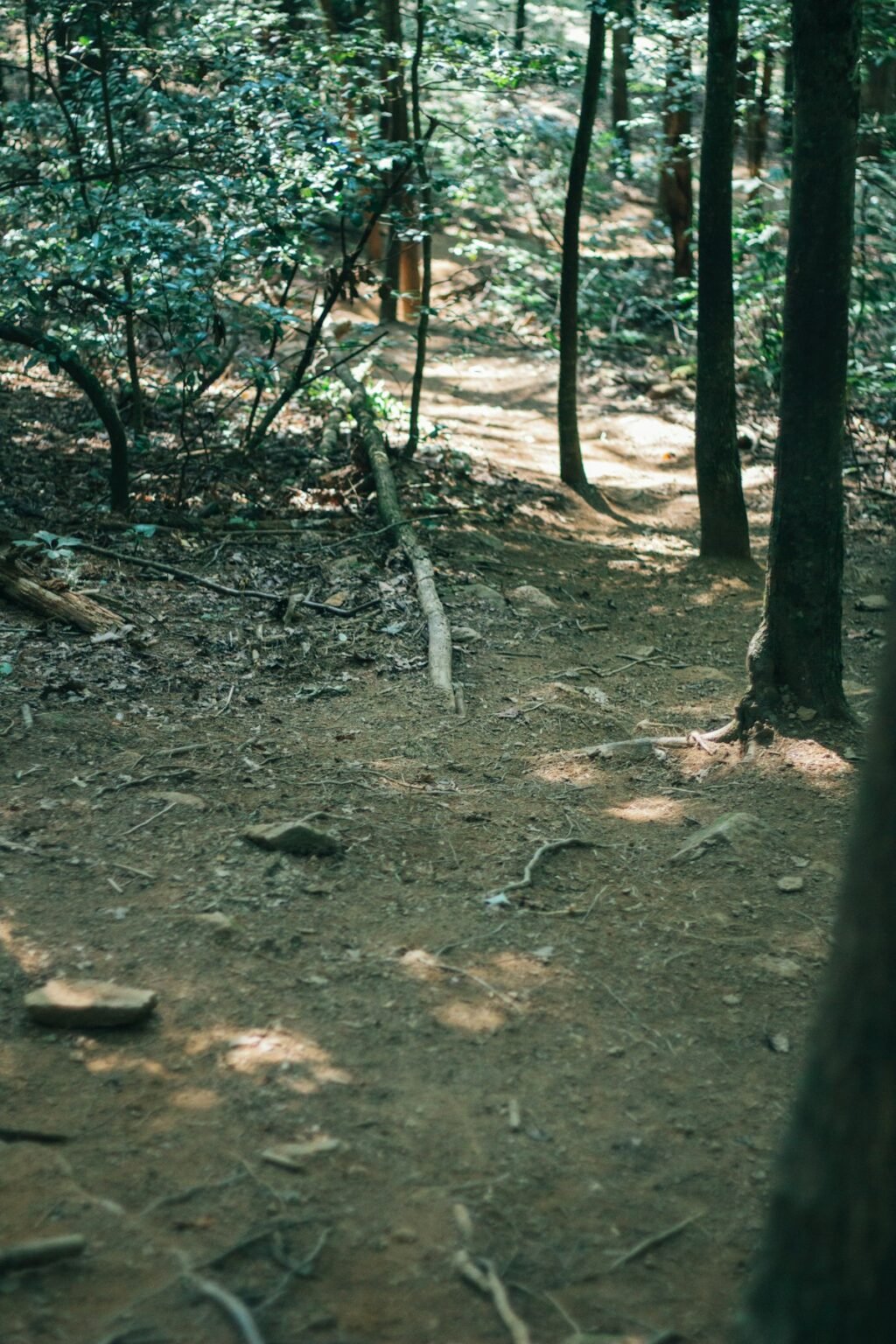 Cumberland Trail State Park near Gryptid RV Park