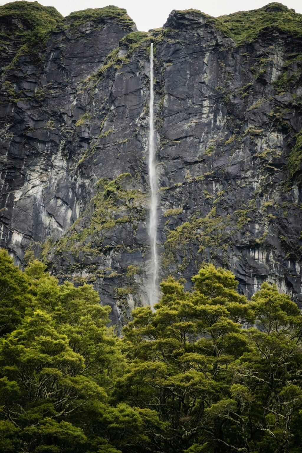Fall Creek Falls State Park near Gryptid RV Park