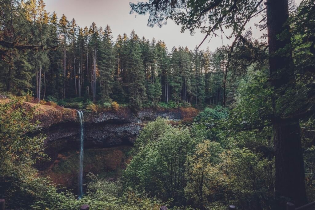 Piney Falls State Natural Area near Gryptid RV Park